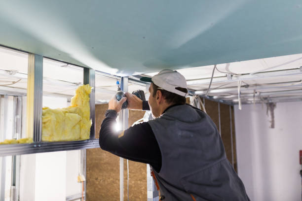 Best Spray Foam Insulation in Greensboro, MD