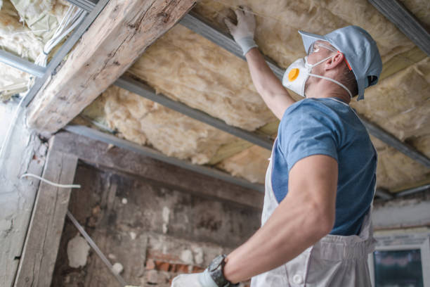Best DIY Insulation Kits and Guidance in Greensboro, MD