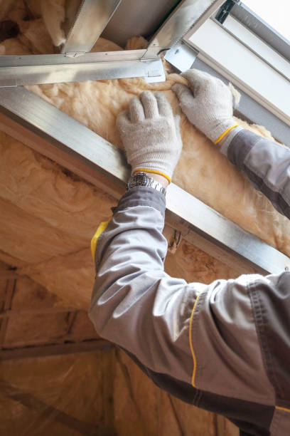 Best Cellulose Insulation in Greensboro, MD