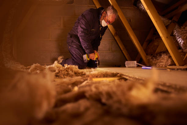 Best Specialized Insulation Services in Greensboro, MD
